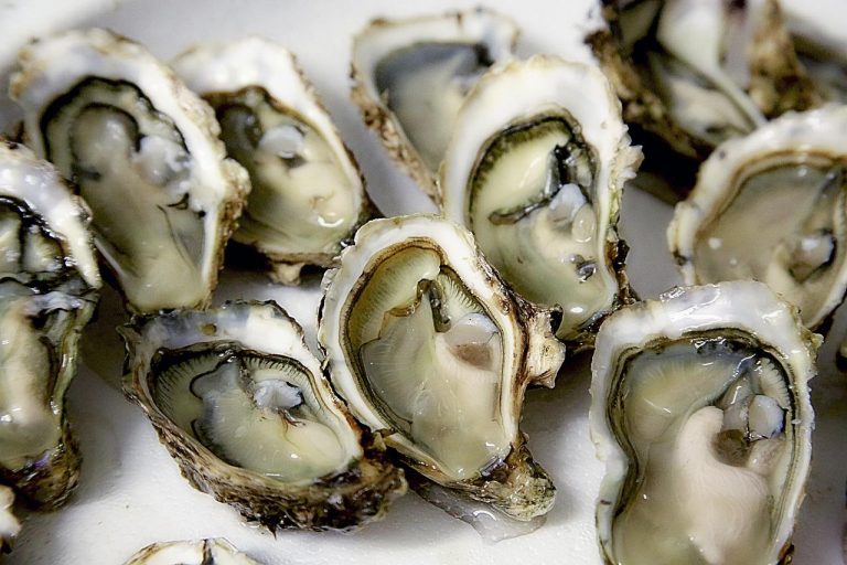 Professionele oesterman die verse oesters opent achter een live oesterbar op een stijlvol event