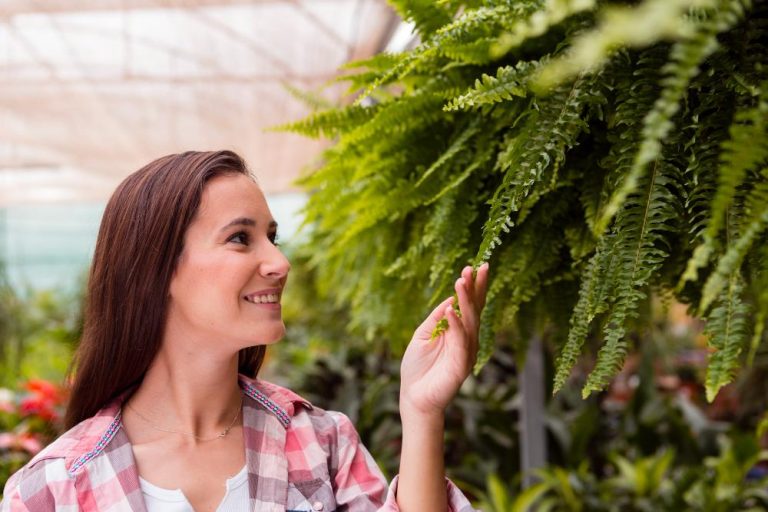 De ideale taxus plant met dichte groenblijvende bladeren in een tuinontwerp